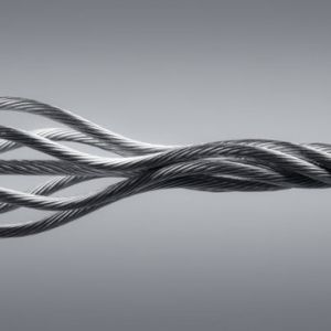 С���C䓽z�K��Ҫ�p���F(xi��n)��Ġ�r